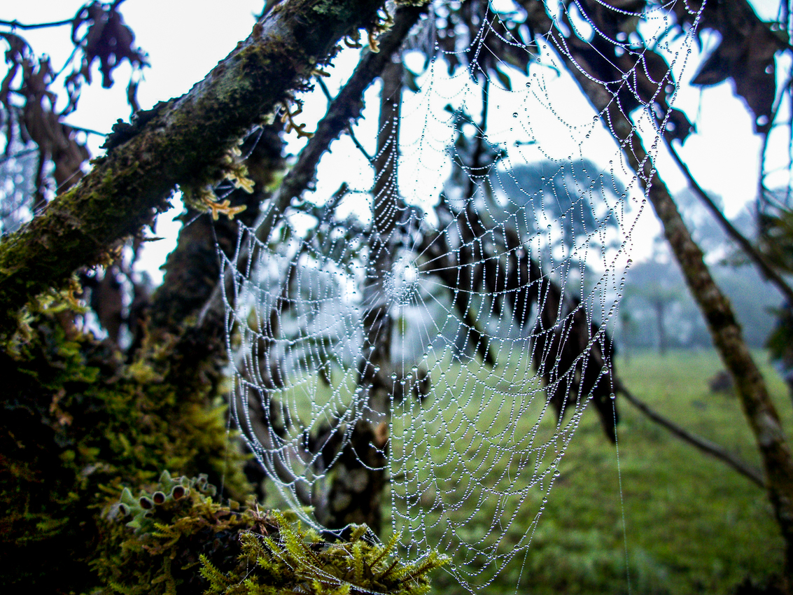 Guatemala © Karla Hovde 2013